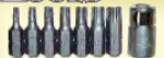 Torx r Insert Bits